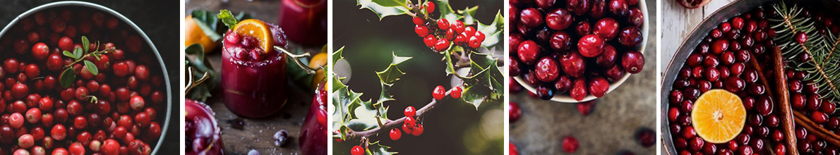 Crimson Berries